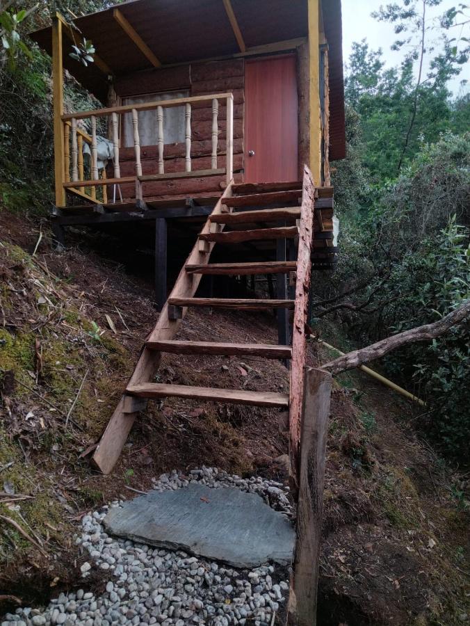 Glamping Entre Bosques Hotell La Calera Exteriör bild